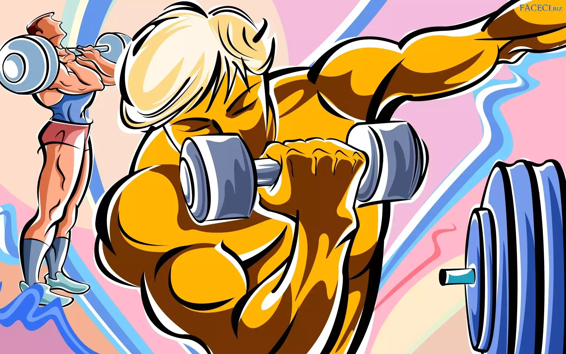 Kulturysta, Ciężary